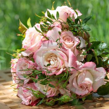 Lyon Lumieres ® Edelrose